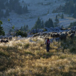 Berger à la fin du jour