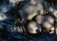 Début de cuisson des poteries