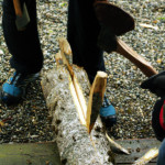 Façonnage du tronc d'arbre