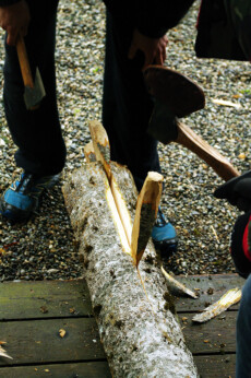 Façonnage du tronc d'arbre