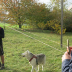 Fabrication de la corde