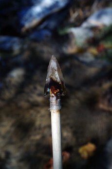 Détail d'une pointe de flèche